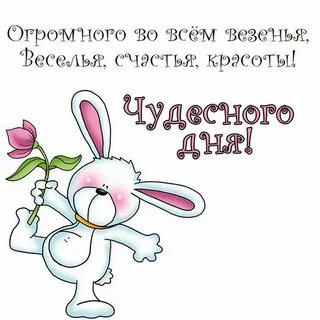 С добрым днем картинки прикольные смешные