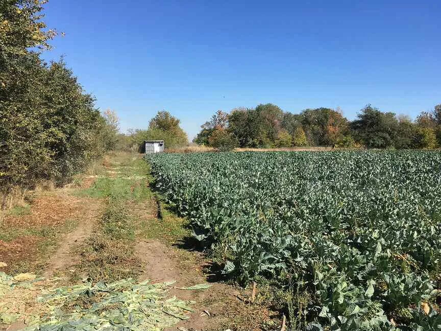 Ростов на дону багаевский погода. Кудинов Ростовская область Багаевский район. Хутор Кудинов Багаевский район. Елкин Ростовская область Багаевский район. Хутор красный Багаевский район.