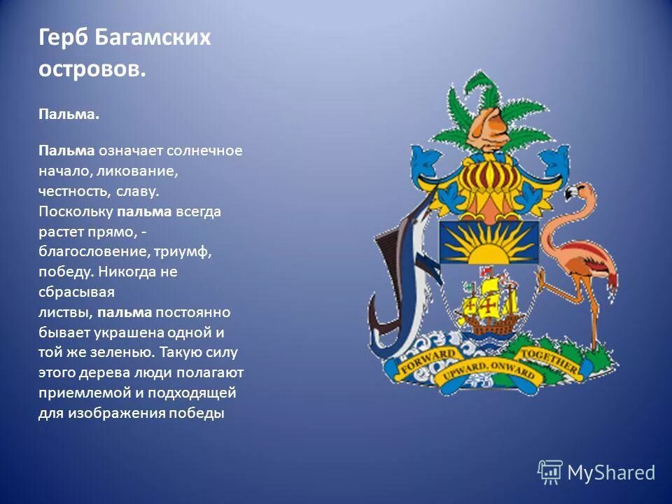 Символика изображений на гербах. Герб россии. Герб строцци. Сообщение о самых необычных гербах. Проект растения на гербах стран.