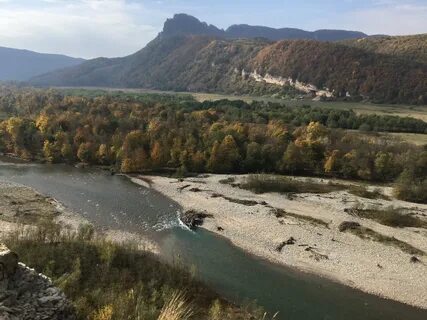 Редант краснодарский край