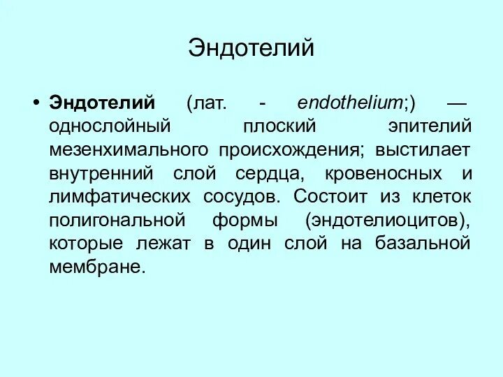 Высокий эндотелий. Эндотелиоциты. форма эндотелиоцитов. строение эндотелиоцита. однослойный плоский эндотелий.