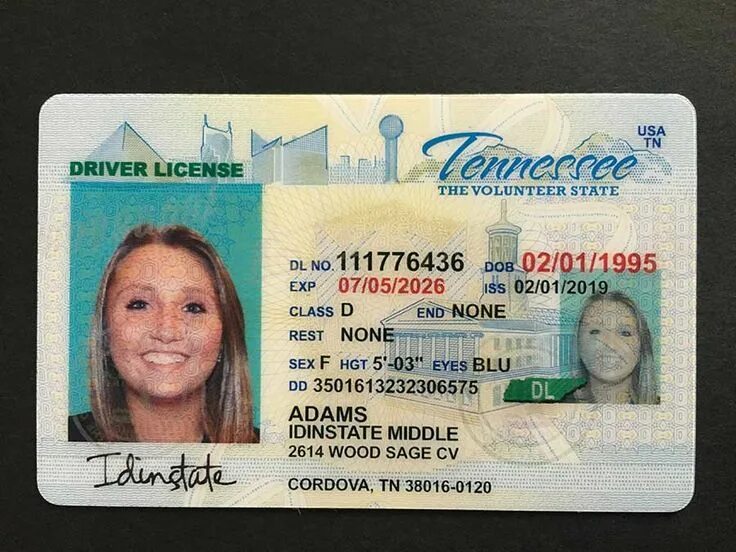 Айди карта сша фото. Id карта сша. Американский id card. Id us product. Id us product.