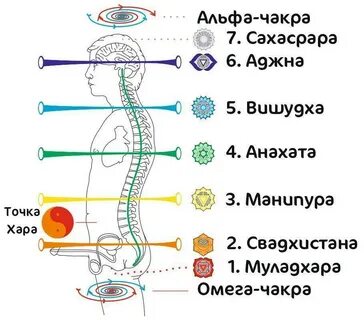 Где 2 чакра