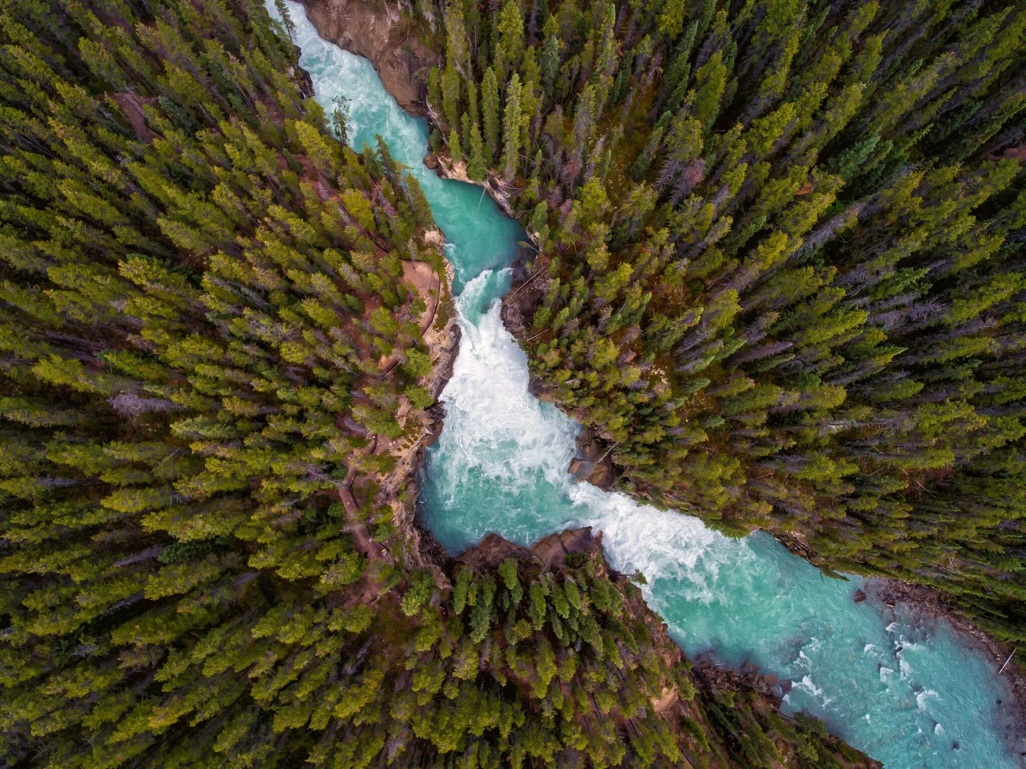 Река вид сверху. Шорная река вид сверху. Природа вид сверху. Лес вид сверху. The nature is also