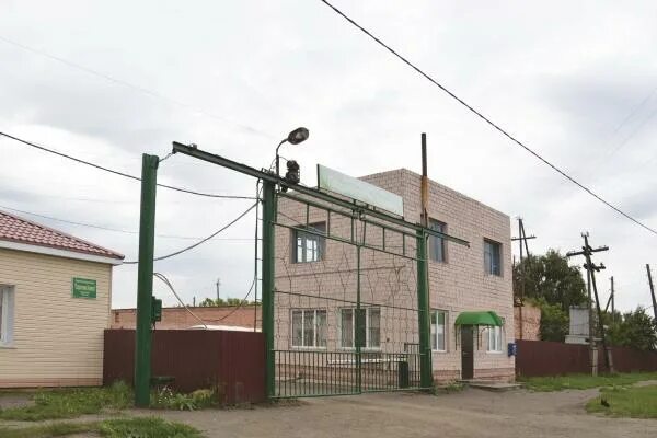 Интернет калачинск. Плодопитомник лисавенко. ул лисавенко г калачинск. калачинск питомник. калачинский лисовенко 1.
