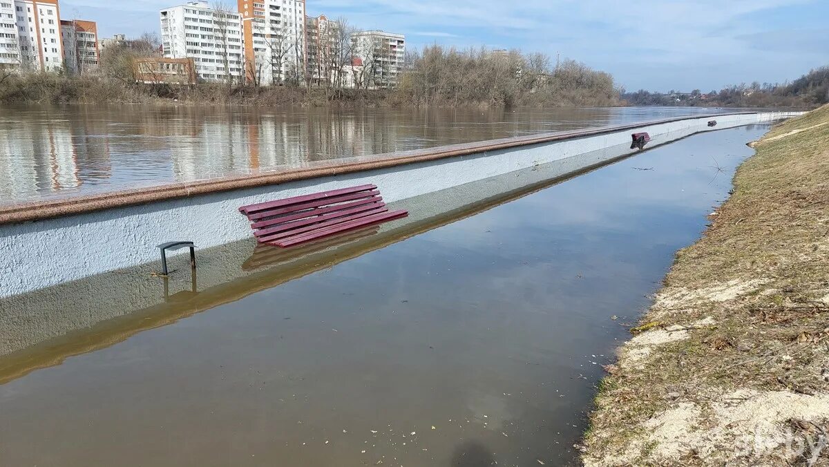 Паводок 2024 беларусь. У набережной. Пешеходный мост. Плавающий мост. Потоп Витебск.