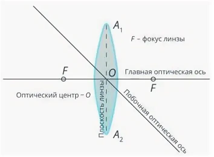 Где находится мнимый фокус. Мнимый фокус линзы это. модель тонкой линзы. основные точки и линии линзы. прямая проходящая через оптический центр линзы называется.