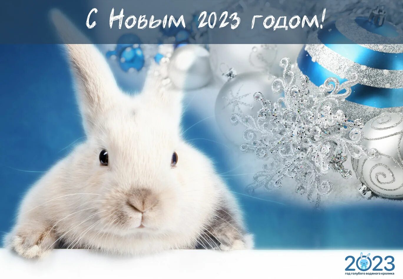 Новый год 2023 красивые. Новый год 2023 кролик. Открытки с новым годом кролика.