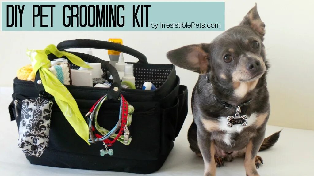 Pet Grooming сумка. Aodemei Pet Comb Pet Grooming комплект ножницы. Doglife груминг салон. Pet kit