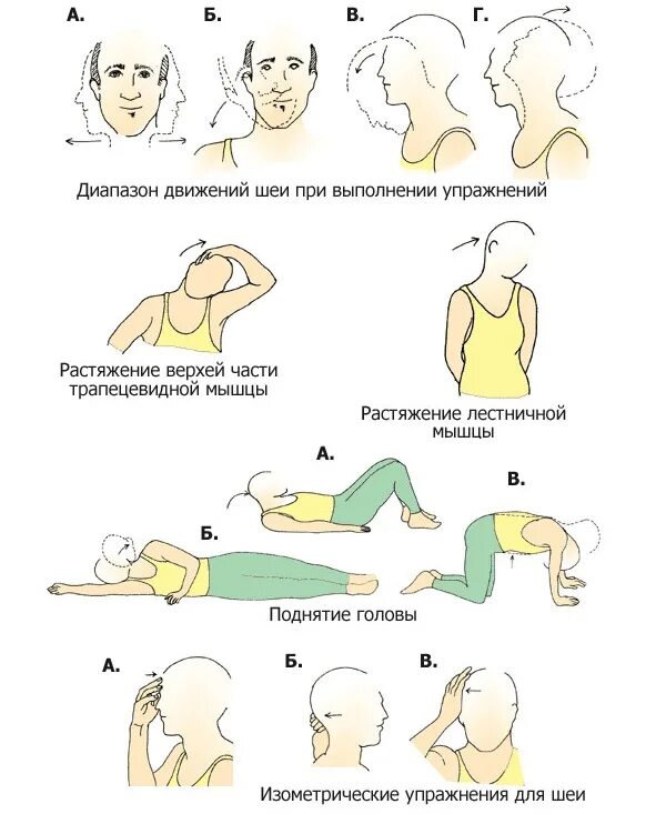 Болит спина при повороте. Упражнения для головы и шеи. Тренировка мышц шеи. Упражнения для шеи. Гимнастика от хруста в шее.