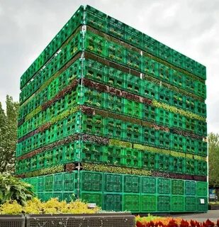 Building star