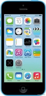 C apple