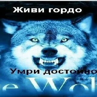 Гордо жив