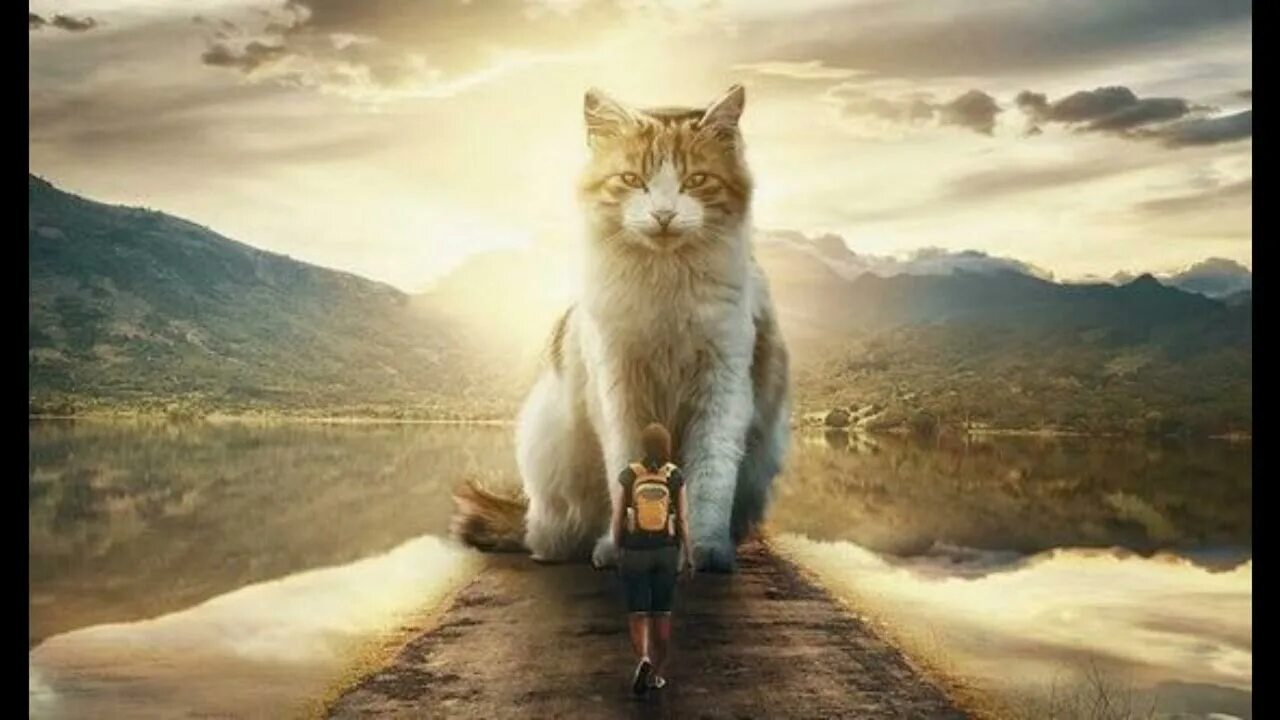 Гигантский кот. Человек и животные картинки. Гигантский кот в лесу. Гигантский кот и человек.