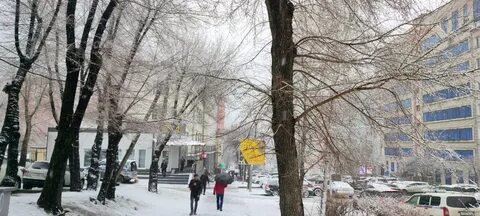 Хабаровске на 14 дней