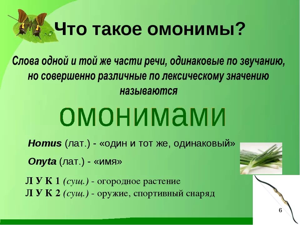 Чем отличаются многозначные слова от омонимов. Омонимы 5 класс. Омонимы 5 класс презентация. Омонимы примеры 5 класс. Что такое омонимы в русском языке 5 класс.