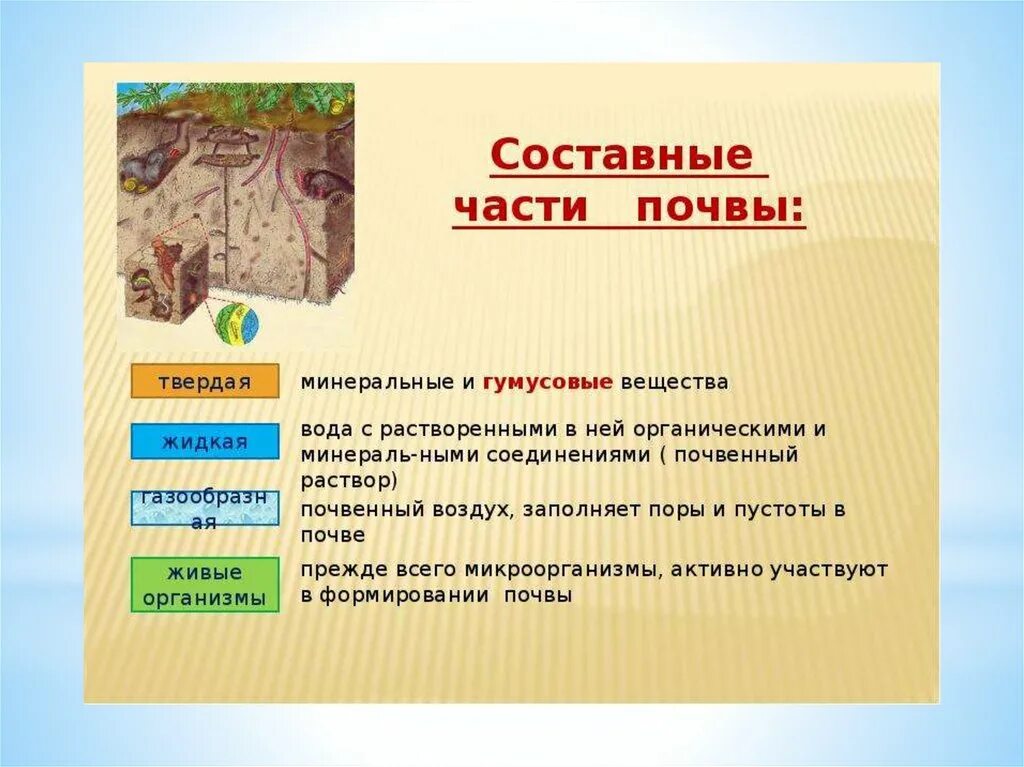 Почва особое природное тело 8 класс презентация. Составные части почвы. Твердая часть почвы. Минеральная и органическая часть почвы. Назовите основные составные части почвы.