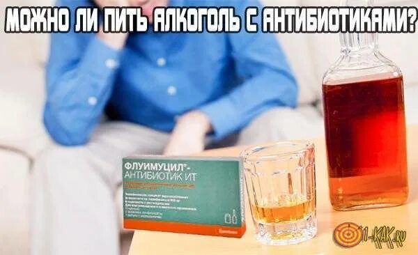 Можно пить пиво при приеме антибиотиков. Пиво и антибиотики. Напитки при цистите. Горячее питье лекарство. Пиво при простуде и кашле.