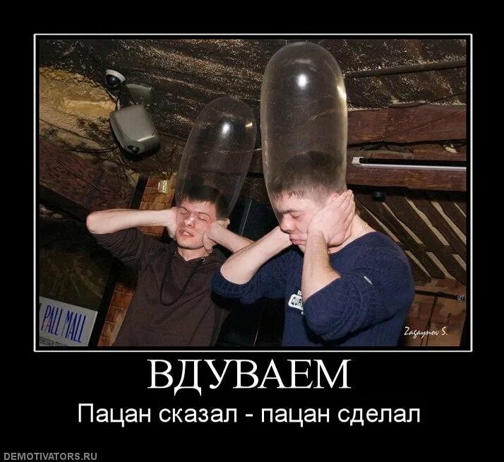 цитаты про придурков. время дебилов. джим керри из тупой и еще тупее 2. школьные придурки. придурки наша раша.