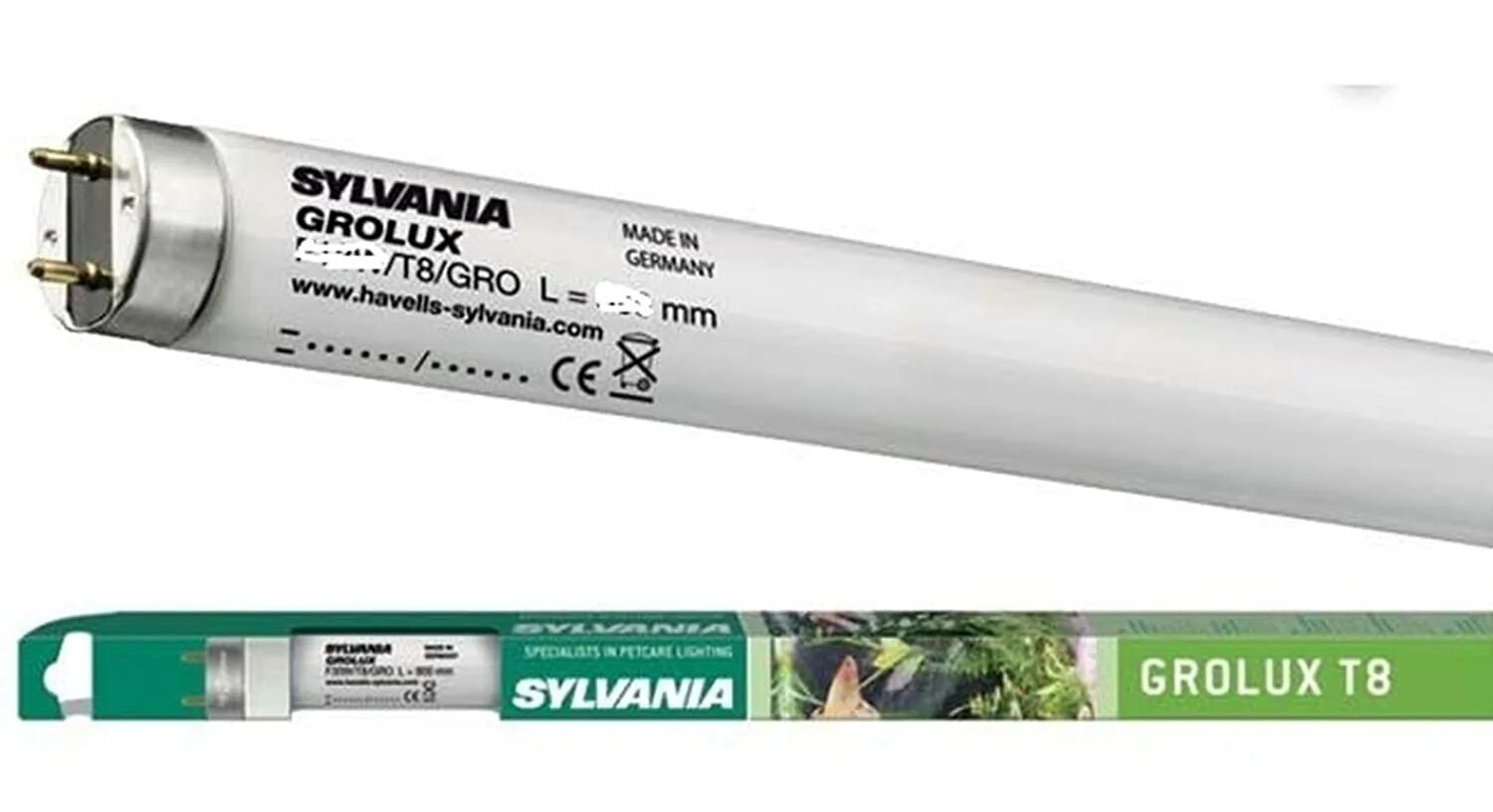 Светильник спб-т5-фито 20w/1170мм для растений in home. Фитолампа линейная светодиодная для растений 1200 мм. Лампа лл 18вт l 18w/77 fluora t8 g13 для растений и аквариумов osram 4058075402829 /10шт/. Лампа люминесцентная 1200мм 36вт g13. Лампы t8 для растений.