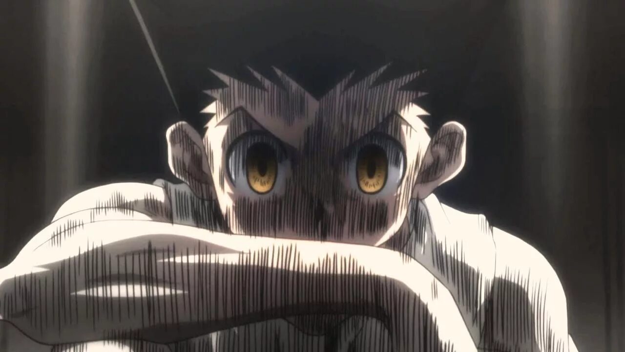 Охотник х охотник / hunter x hunter. Хантер х хантер gon. Hunter x hunter d. Хантер х хантер неферпиту. Хантер неферпиту кайто.