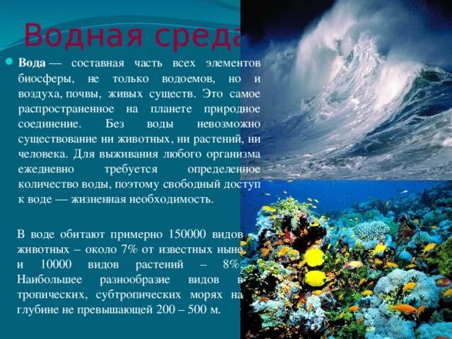 Краткий пересказ параграфа водная среда обитания. Водная среда обитания. Среда обитания водная среда. Характеристика водной среды. Презентация водная среда.