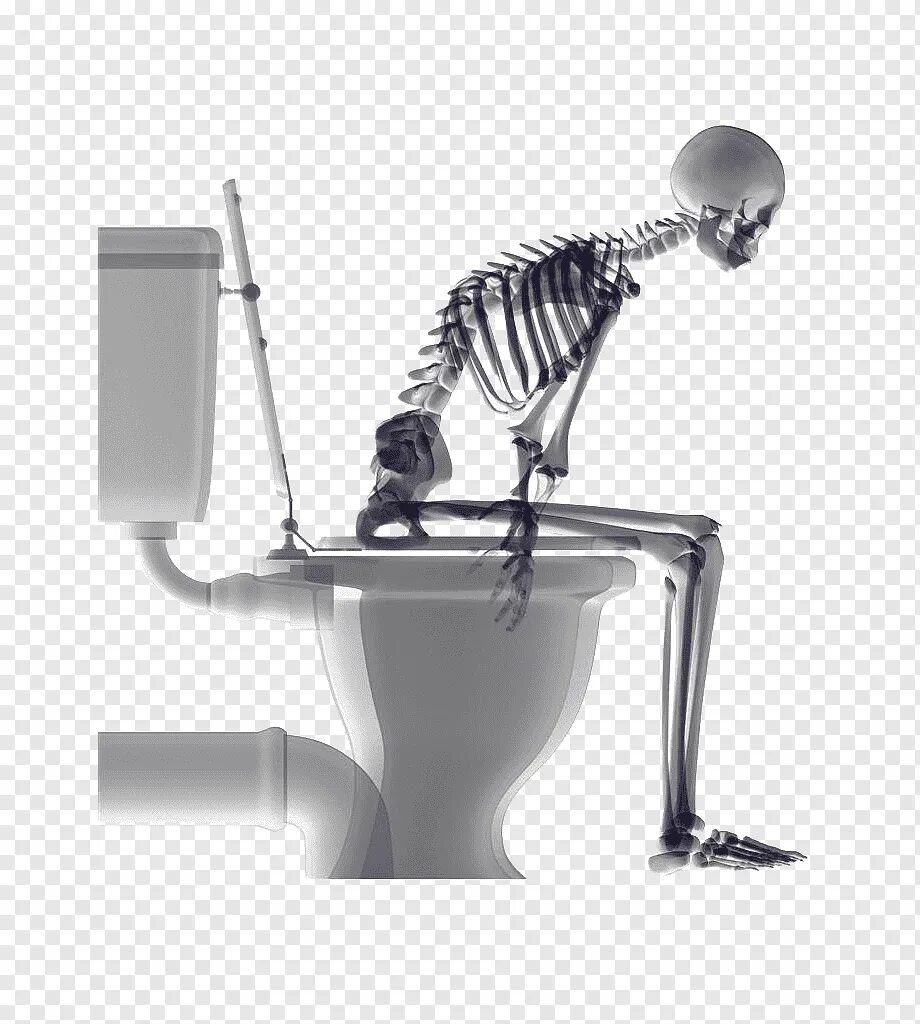 Держатель для туалетной бумаги в виде скелета. Туалет скелетон. Скелет сидит на унитазе. Туалет скелетон. Держатель бумаги для туалета скелет.