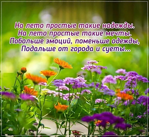 Макушка лета стих. Цитата года. Летние пожелания в стихах. Лето это маленькая жизнь цитаты. Жду лета стихи