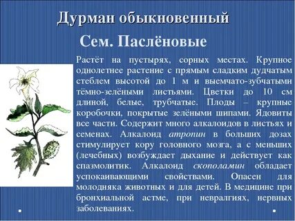 Ядовитые растения доклад