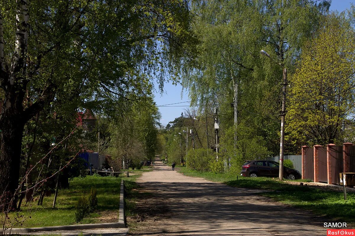 салтыковка лес. метро серп и молот в москве. герб салтыковки. салтыковка лес. серп и молот.