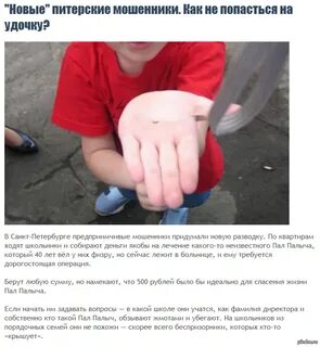 Пал пал переводы