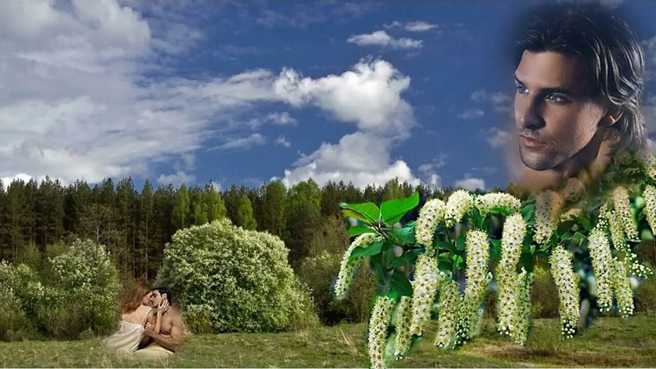 Цветут деревья весной. Яблоня цветёт. Весеннее дерево. Майская вишня. Расцветать к ней в.