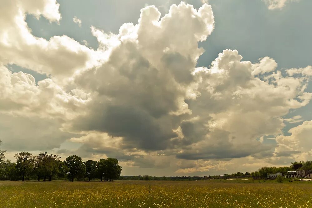 Кучевые облака пейзаж. Пейзаж с облаками. Кучевые облака в поле. Тучи пейзаж.