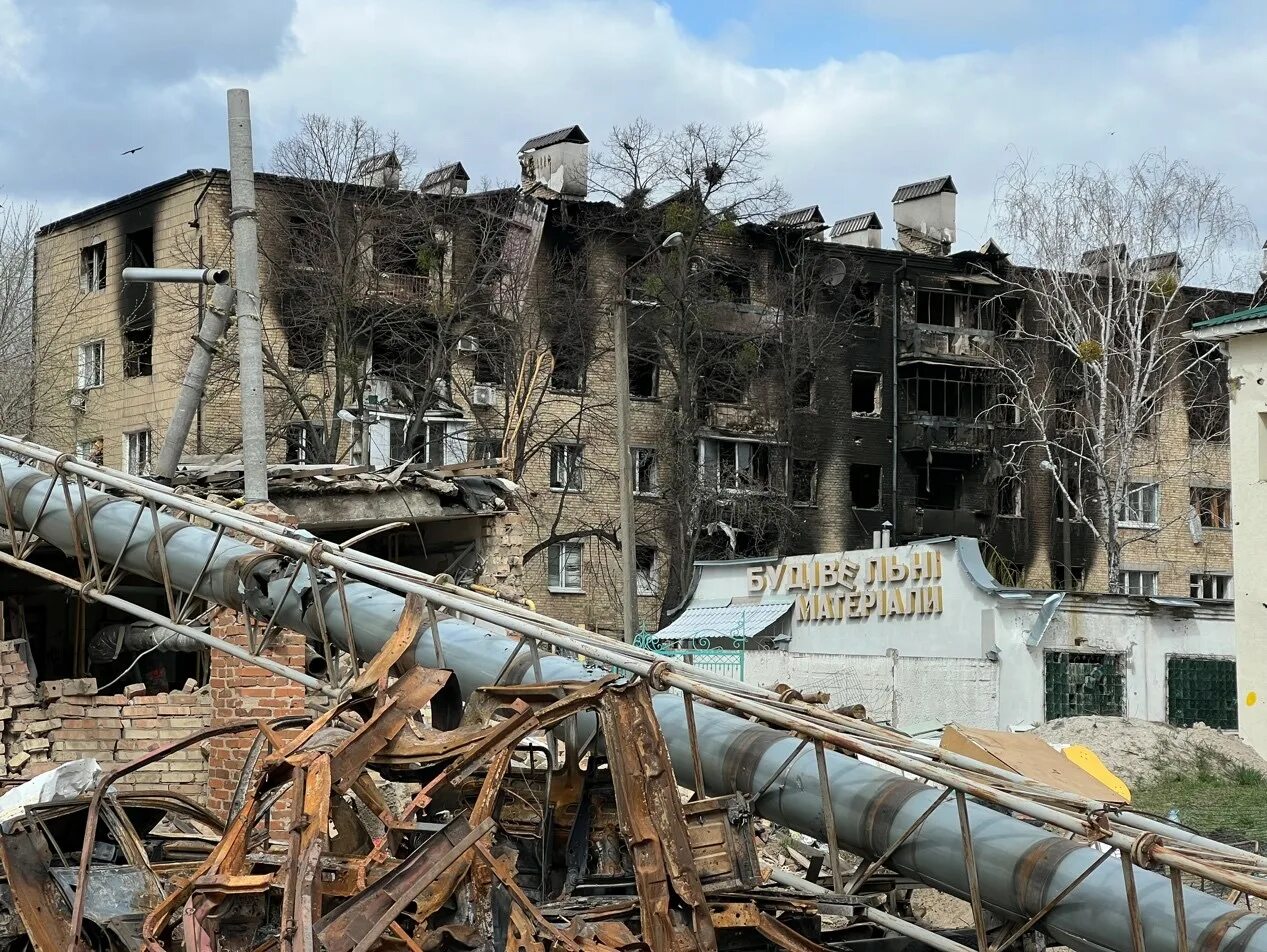 Лицезрейте появление новой жизни в руинах. Лицезрейте появление новой жизни в руинах