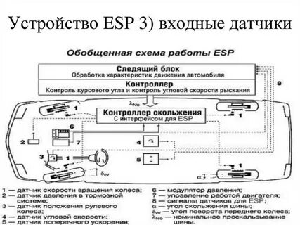 Система есп