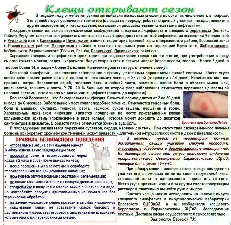 Передается ли энцефалит через молоко. Энцефалит от козьего молока. клещевой энцефалит молоко. болеют ли козы энцефалитом.