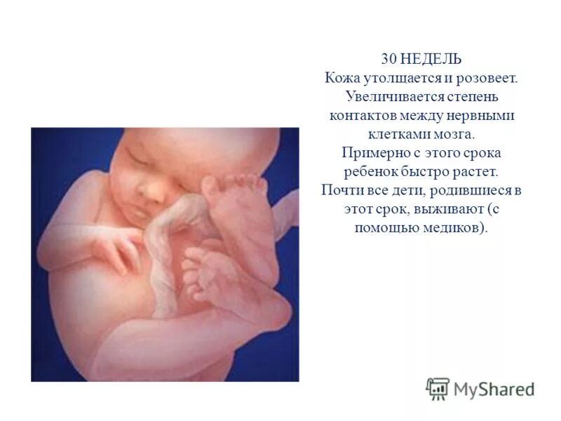 Развития плода 30 недель. Ребёнок в 30 недель беременности. ребёнок на 28 неделе беременности.