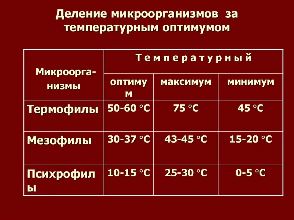 Температура кропоткин. Психрофилы мезофилы и термофилы. Отношение микроорганизмов к температуре классификация. Микроорганизмы по температуре. Температурные группы микроорганизмов..