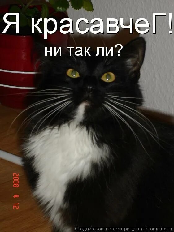 Не так ли ни так. Не так ли ни так