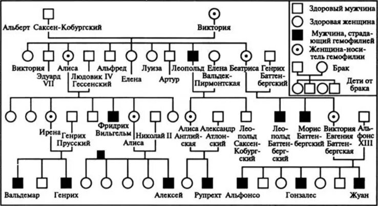Генеалогическое древо английской королевы виктории. Родословная романовых гемофилия. Генеалогическое древо королевы виктории. Виктория королева великобритании генеалогическое древо. Родословная королевы виктории.