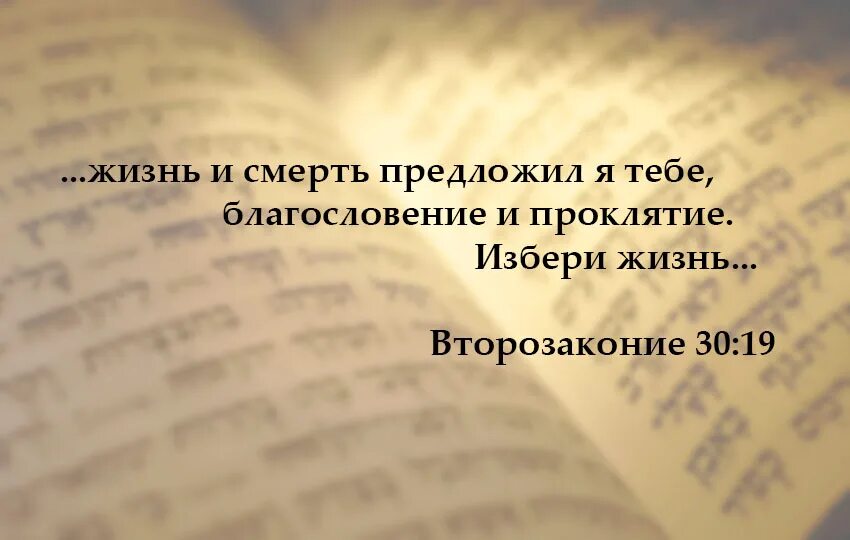 Благословение и проклятие. Благословения и проклятия в Библии. Второзаконие проклятия. Жизнь и смерть предложил я тебе благословение и проклятие избери.