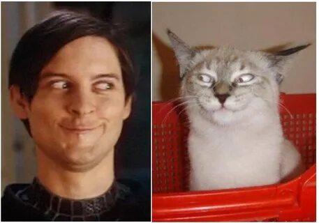 Likeness