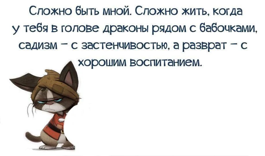 Жить на все сто. Смешные афоризмы. Юмористические высказывания о жизни. Правда жизни цитаты. Высказывания о жизни с юмором.