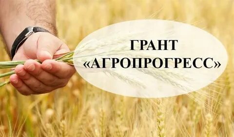 Мсх оплата