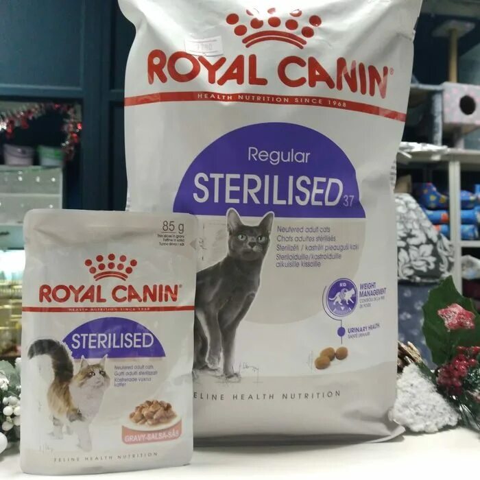 Royal canin sterilized. Royal Canin Holistic для кошек. Royal Canin Sterilised. Корма Роял Канин для кастрированных котов. Роял Канин для стерильных кошек.
