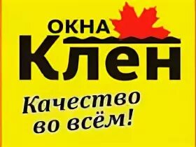 Клен в окне. Кленовые окна. Осень из окна. Клен за окном. Технострой санкт-петербург фото.