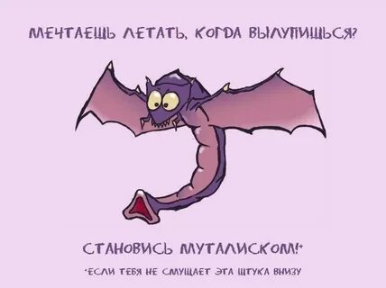 Внизу штука