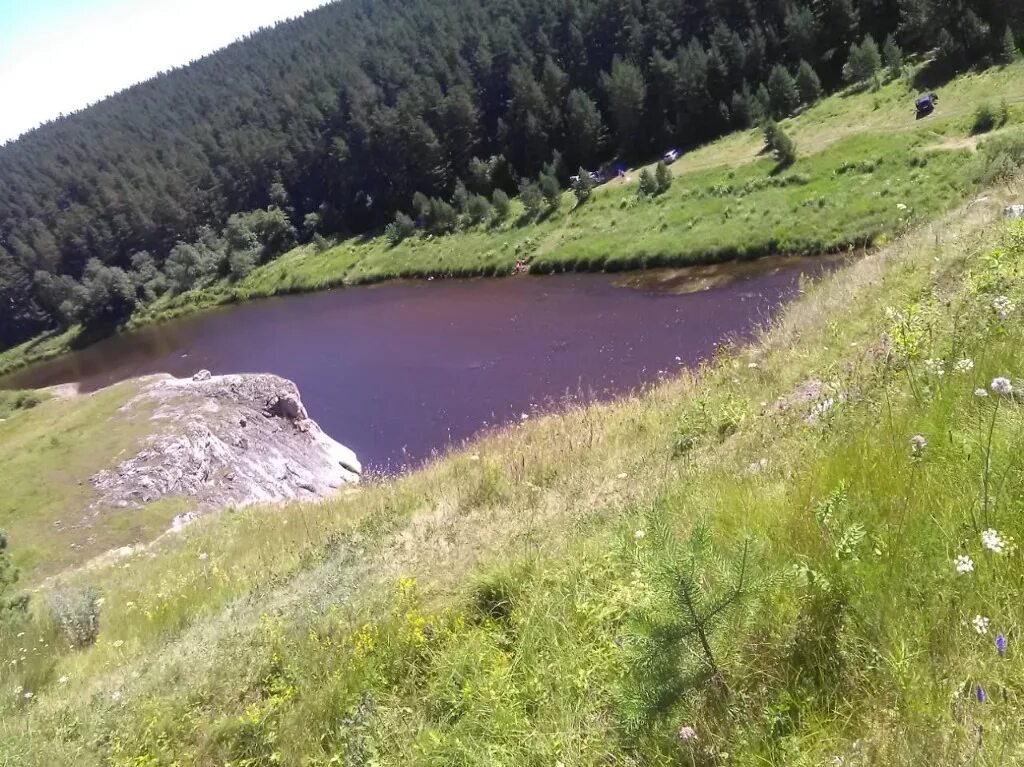 Деревня Кулига Алапаевский район. Деревня Кулига Свердловская область. Кулига Кама. Ясашная Алапаевский район.