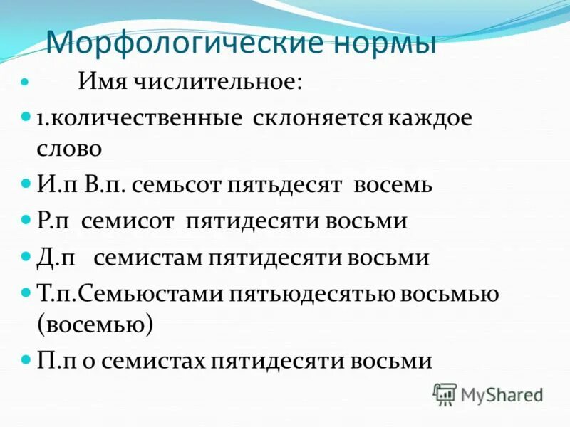 Сестра моложе брата семьюстами пятьюдесятью восемью