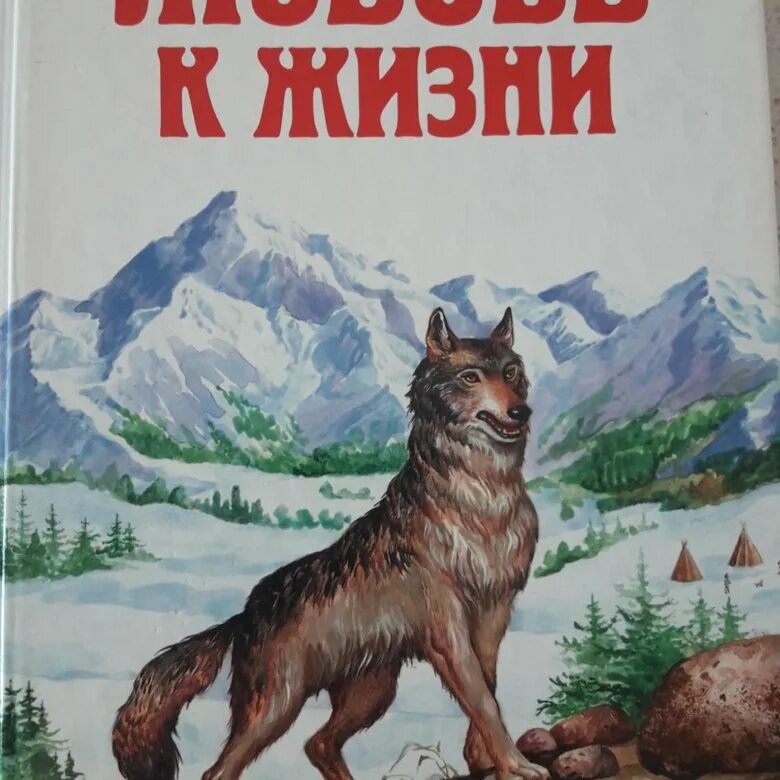 Джек лондон любовь к жизни. Любовь к жизни предательство Билла. Прощай золото картинки любовь к жизни Джек Лондон. Любовь к жизни Джек Лондон картинки двое в тундре. Любовь к жизни это 9.3.